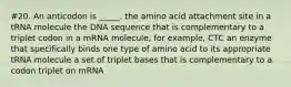 #20. An anticodon is _____. the amino acid attachment site in a tRNA molecule the DNA sequence that is complementary to a triplet codon in a mRNA molecule, for example, CTC an enzyme that specifically binds one type of amino acid to its appropriate tRNA molecule a set of triplet bases that is complementary to a codon triplet on mRNA