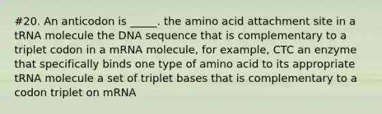 #20. An anticodon is _____. the amino acid attachment site in a tRNA molecule the DNA sequence that is complementary to a triplet codon in a mRNA molecule, for example, CTC an enzyme that specifically binds one type of amino acid to its appropriate tRNA molecule a set of triplet bases that is complementary to a codon triplet on mRNA