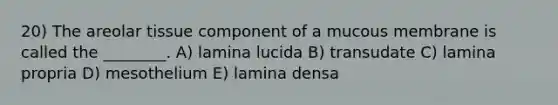 20) The areolar tissue component of a mucous membrane is called the ________. A) lamina lucida B) transudate C) lamina propria D) mesothelium E) lamina densa