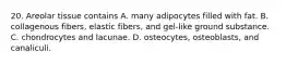 20. Areolar tissue contains A. many adipocytes filled with fat. B. collagenous fibers, elastic fibers, and gel-like ground substance. C. chondrocytes and lacunae. D. osteocytes, osteoblasts, and canaliculi.