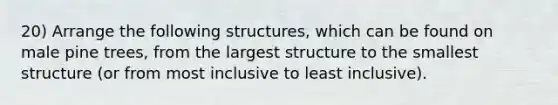 20) Arrange the following structures, which can be found on male pine trees, from the largest structure to the smallest structure (or from most inclusive to least inclusive).