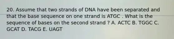 20. Assume that two strands of DNA have been separated and that the base sequence on one strand is ATGC . What is the sequence of bases on the second strand ? A. ACTC B. TGGC C. GCAT D. TACG E. UAGT