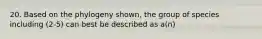 20. Based on the phylogeny shown, the group of species including (2-5) can best be described as a(n)