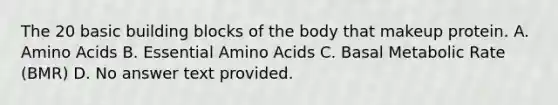 The 20 basic building blocks of the body that makeup protein. A. Amino Acids B. Essential Amino Acids C. Basal Metabolic Rate (BMR) D. No answer text provided.