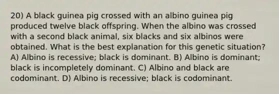 20) A black guinea pig crossed with an albino guinea pig produced twelve black offspring. When the albino was crossed with a second black animal, six blacks and six albinos were obtained. What is the best explanation for this genetic situation? A) Albino is recessive; black is dominant. B) Albino is dominant; black is incompletely dominant. C) Albino and black are codominant. D) Albino is recessive; black is codominant.