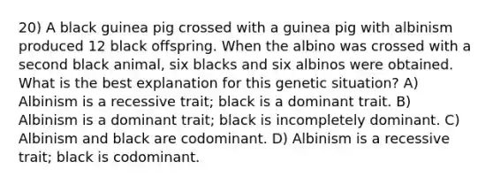 20) A black guinea pig crossed with a guinea pig with albinism produced 12 black offspring. When the albino was crossed with a second black animal, six blacks and six albinos were obtained. What is the best explanation for this genetic situation? A) Albinism is a recessive trait; black is a dominant trait. B) Albinism is a dominant trait; black is incompletely dominant. C) Albinism and black are codominant. D) Albinism is a recessive trait; black is codominant.