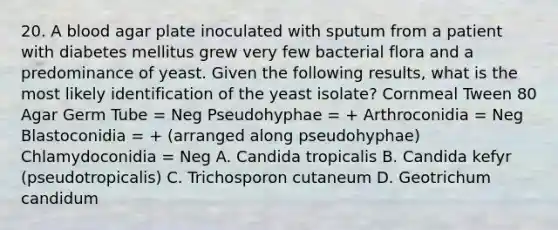 20. A blood agar plate inoculated with sputum from a patient with diabetes mellitus grew very few bacterial flora and a predominance of yeast. Given the following results, what is the most likely identification of the yeast isolate? Cornmeal Tween 80 Agar Germ Tube = Neg Pseudohyphae = + Arthroconidia = Neg Blastoconidia = + (arranged along pseudohyphae) Chlamydoconidia = Neg A. Candida tropicalis B. Candida kefyr (pseudotropicalis) C. Trichosporon cutaneum D. Geotrichum candidum