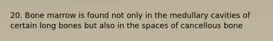 20. Bone marrow is found not only in the medullary cavities of certain long bones but also in <a href='https://www.questionai.com/knowledge/k0Lyloclid-the-space' class='anchor-knowledge'>the space</a>s of cancellous bone