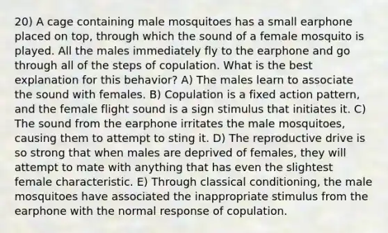 20) A cage containing male mosquitoes has a small earphone placed on top, through which the sound of a female mosquito is played. All the males immediately fly to the earphone and go through all of the steps of copulation. What is the best explanation for this behavior? A) The males learn to associate the sound with females. B) Copulation is a fixed action pattern, and the female flight sound is a sign stimulus that initiates it. C) The sound from the earphone irritates the male mosquitoes, causing them to attempt to sting it. D) The reproductive drive is so strong that when males are deprived of females, they will attempt to mate with anything that has even the slightest female characteristic. E) Through classical conditioning, the male mosquitoes have associated the inappropriate stimulus from the earphone with the normal response of copulation.