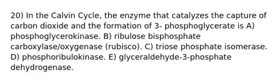 20) In the Calvin Cycle, the enzyme that catalyzes the capture of carbon dioxide and the formation of 3- phosphoglycerate is A) phosphoglycerokinase. B) ribulose bisphosphate carboxylase/oxygenase (rubisco). C) triose phosphate isomerase. D) phosphoribulokinase. E) glyceraldehyde-3-phosphate dehydrogenase.