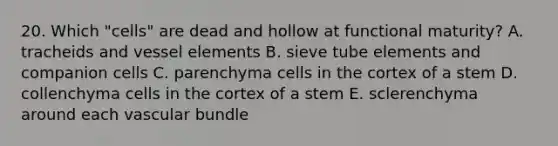 20. Which "cells" are dead and hollow at functional maturity? A. tracheids and vessel elements B. sieve tube elements and companion cells C. parenchyma cells in the cortex of a stem D. collenchyma cells in the cortex of a stem E. sclerenchyma around each vascular bundle