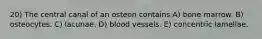 20) The central canal of an osteon contains A) bone marrow. B) osteocytes. C) lacunae. D) blood vessels. E) concentric lamellae.