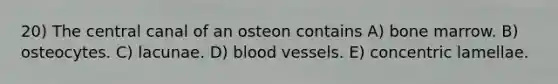 20) The central canal of an osteon contains A) bone marrow. B) osteocytes. C) lacunae. D) blood vessels. E) concentric lamellae.