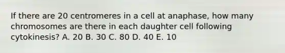 If there are 20 centromeres in a cell at anaphase, how many chromosomes are there in each daughter cell following cytokinesis? A. 20 B. 30 C. 80 D. 40 E. 10