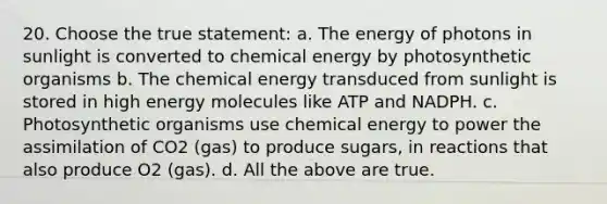 20. Choose the true statement: a. The energy of photons in sunlight is converted to chemical energy by photosynthetic organisms b. The chemical energy transduced from sunlight is stored in high energy molecules like ATP and NADPH. c. Photosynthetic organisms use chemical energy to power the assimilation of CO2 (gas) to produce sugars, in reactions that also produce O2 (gas). d. All the above are true.