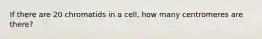 If there are 20 chromatids in a cell, how many centromeres are there?