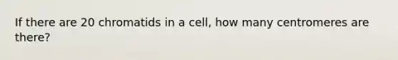 If there are 20 chromatids in a cell, how many centromeres are there?