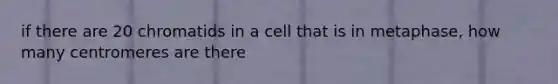 if there are 20 chromatids in a cell that is in metaphase, how many centromeres are there