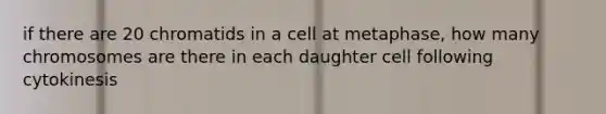 if there are 20 chromatids in a cell at metaphase, how many chromosomes are there in each daughter cell following cytokinesis