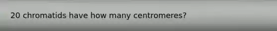 20 chromatids have how many centromeres?