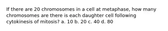 If there are 20 chromosomes in a cell at metaphase, how many chromosomes are there is each daughter cell following cytokinesis of mitosis? a. 10 b. 20 c. 40 d. 80