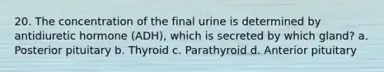 20. The concentration of the final urine is determined by antidiuretic hormone (ADH), which is secreted by which gland? a. Posterior pituitary b. Thyroid c. Parathyroid d. Anterior pituitary