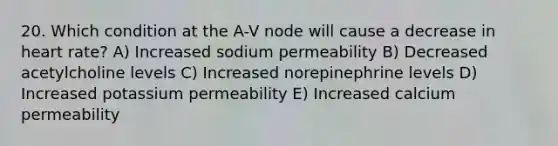 20. Which condition at the A-V node will cause a decrease in heart rate? A) Increased sodium permeability B) Decreased acetylcholine levels C) Increased norepinephrine levels D) Increased potassium permeability E) Increased calcium permeability