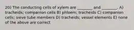 20) The conducting cells of xylem are ________ and ________. A) tracheids; companion cells B) phloem; tracheids C) companion cells; sieve tube members D) tracheids; vessel elements E) none of the above are correct