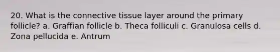 20. What is the connective tissue layer around the primary follicle? a. Graffian follicle b. Theca folliculi c. Granulosa cells d. Zona pellucida e. Antrum