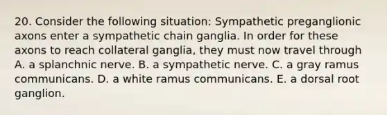 20. Consider the following situation: Sympathetic preganglionic axons enter a sympathetic chain ganglia. In order for these axons to reach collateral ganglia, they must now travel through A. a splanchnic nerve. B. a sympathetic nerve. C. a gray ramus communicans. D. a white ramus communicans. E. a dorsal root ganglion.