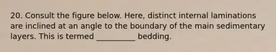 20. Consult the figure below. Here, distinct internal laminations are inclined at an angle to the boundary of the main sedimentary layers. This is termed __________ bedding.