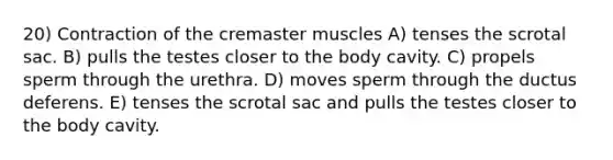 20) Contraction of the cremaster muscles A) tenses the scrotal sac. B) pulls the testes closer to the body cavity. C) propels sperm through the urethra. D) moves sperm through the ductus deferens. E) tenses the scrotal sac and pulls the testes closer to the body cavity.