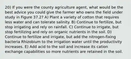 20) If you were the county agriculture agent, what would be the best advice you could give the farmer who owns the field under study in Figure 37.2? A) Plant a variety of cotton that requires less water and can tolerate salinity. B) Continue to fertilize, but stop irrigating and rely on rainfall. C) Continue to irrigate, but stop fertilizing and rely on organic nutrients in the soil. D) Continue to fertilize and irrigate, but add the nitrogen-fixing bacteria Rhizobium to the irrigation water until the productivity increases. E) Add acid to the soil and increase its cation exchange capabilities so more nutrients are retained in the soil.