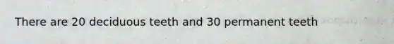 There are 20 deciduous teeth and 30 permanent teeth