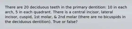 There are 20 deciduous teeth in the primary dentition: 10 in each arch, 5 in each quadrant. There is a central incisor, lateral incisor, cuspid, 1st molar, & 2nd molar (there are no bicuspids in the deciduous dentition). True or false?