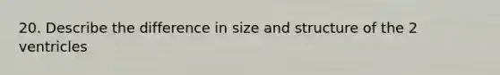 20. Describe the difference in size and structure of the 2 ventricles
