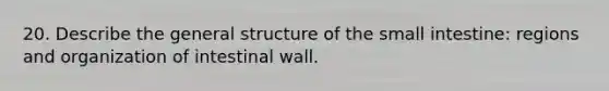 20. Describe the general structure of the small intestine: regions and organization of intestinal wall.