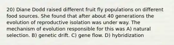 20) Diane Dodd raised different fruit fly populations on different food sources. She found that after about 40 generations the evolution of reproductive isolation was under way. The mechanism of evolution responsible for this was A) natural selection. B) genetic drift. C) gene flow. D) hybridization