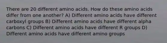 There are 20 different amino acids. How do these amino acids differ from one another? A) Different amino acids have different carboxyl groups B) Different amino acids have different alpha carbons C) Different amino acids have different R groups D) Different amino acids have different amino groups