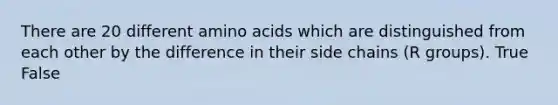 There are 20 different amino acids which are distinguished from each other by the difference in their side chains (R groups). True False