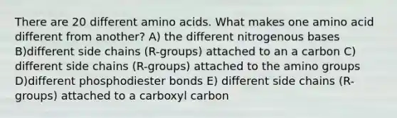 There are 20 different amino acids. What makes one amino acid different from another? A) the different nitrogenous bases B)different side chains (R-groups) attached to an a carbon C) different side chains (R-groups) attached to the amino groups D)different phosphodiester bonds E) different side chains (R-groups) attached to a carboxyl carbon