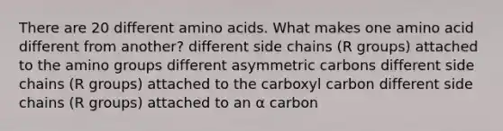 There are 20 different amino acids. What makes one amino acid different from another? different side chains (R groups) attached to the amino groups different asymmetric carbons different side chains (R groups) attached to the carboxyl carbon different side chains (R groups) attached to an α carbon