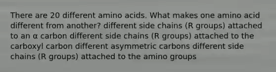 There are 20 different amino acids. What makes one amino acid different from another? different side chains (R groups) attached to an α carbon different side chains (R groups) attached to the carboxyl carbon different asymmetric carbons different side chains (R groups) attached to the amino groups