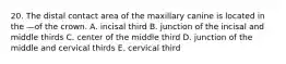 20. The distal contact area of the maxillary canine is located in the —of the crown. A. incisal third B. junction of the incisal and middle thirds C. center of the middle third D. junction of the middle and cervical thirds E. cervical third