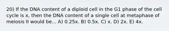 20) If the DNA content of a diploid cell in the G1 phase of the cell cycle is x, then the DNA content of a single cell at metaphase of meiosis II would be... A) 0.25x. B) 0.5x. C) x. D) 2x. E) 4x.