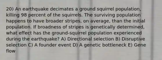 20) An earthquake decimates a ground squirrel population, killing 98 percent of the squirrels. The surviving population happens to have broader stripes, on average, than the initial population. If broadness of stripes is genetically determined, what effect has the ground-squirrel population experienced during the earthquake? A) Directional selection B) Disruptive selection C) A founder event D) A genetic bottleneck E) Gene flow