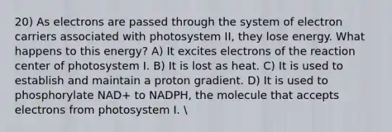 20) As electrons are passed through the system of electron carriers associated with photosystem II, they lose energy. What happens to this energy? A) It excites electrons of the reaction center of photosystem I. B) It is lost as heat. C) It is used to establish and maintain a proton gradient. D) It is used to phosphorylate NAD+ to NADPH, the molecule that accepts electrons from photosystem I.