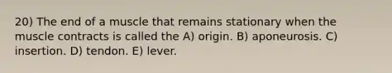 20) The end of a muscle that remains stationary when the muscle contracts is called the A) origin. B) aponeurosis. C) insertion. D) tendon. E) lever.