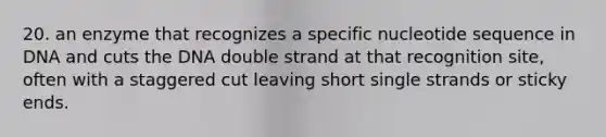 20. an enzyme that recognizes a specific nucleotide sequence in DNA and cuts the DNA double strand at that recognition site, often with a staggered cut leaving short single strands or sticky ends.