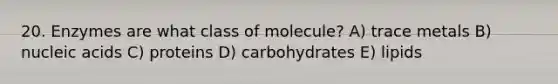 20. Enzymes are what class of molecule? A) trace metals B) nucleic acids C) proteins D) carbohydrates E) lipids